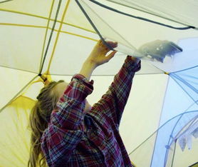 中環(huán)互聯(lián)網(wǎng) 常州網(wǎng)絡公司的全網(wǎng)營銷解決方案