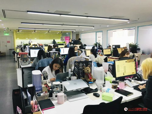 名企探營第二站 新東方體系下的斯芬克國際藝術(shù)教育——引領(lǐng)未來藝術(shù)留學(xué)的專業(yè)指南